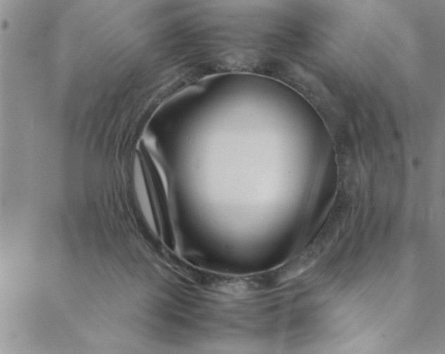 X0000088660075200706081713