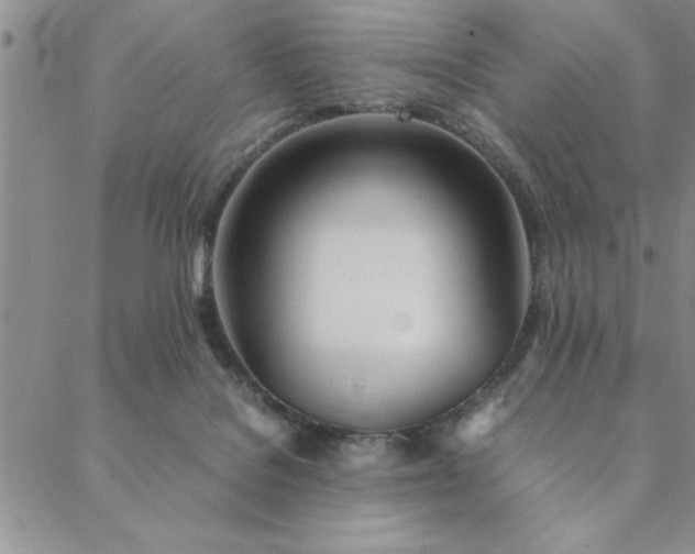 X0000088660076200706081713