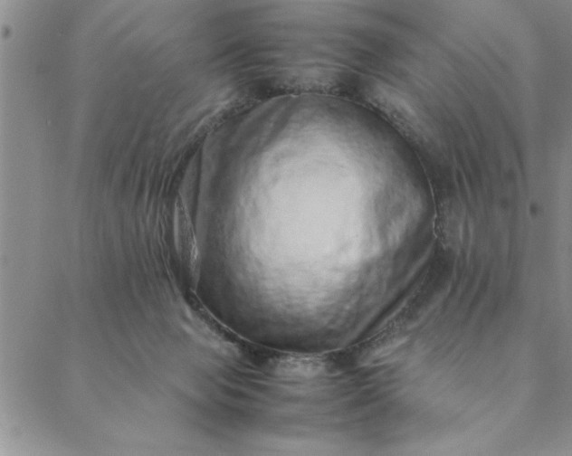 X0000088660077200706081713