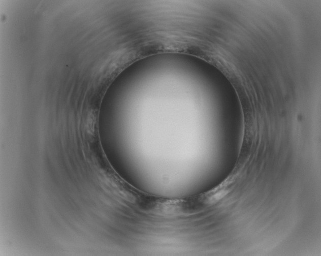 X0000088660078200706081713