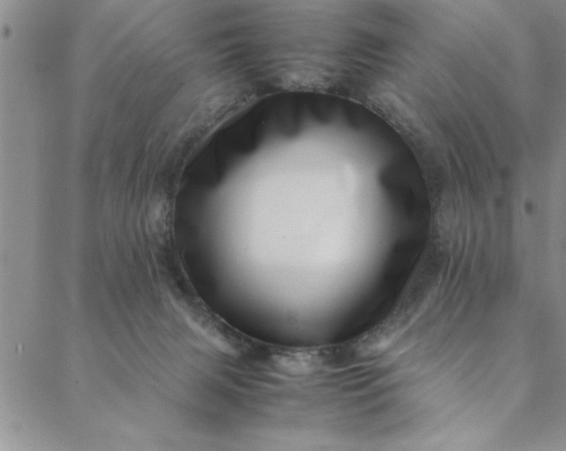 X0000088660079200706081713