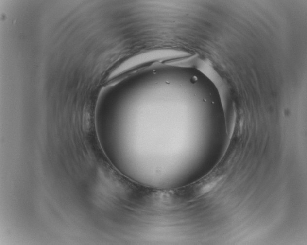 X0000088660080200706081713