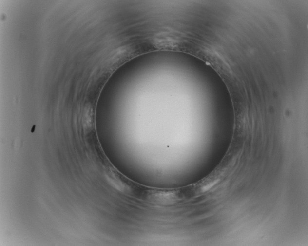 X0000088660081200706081713