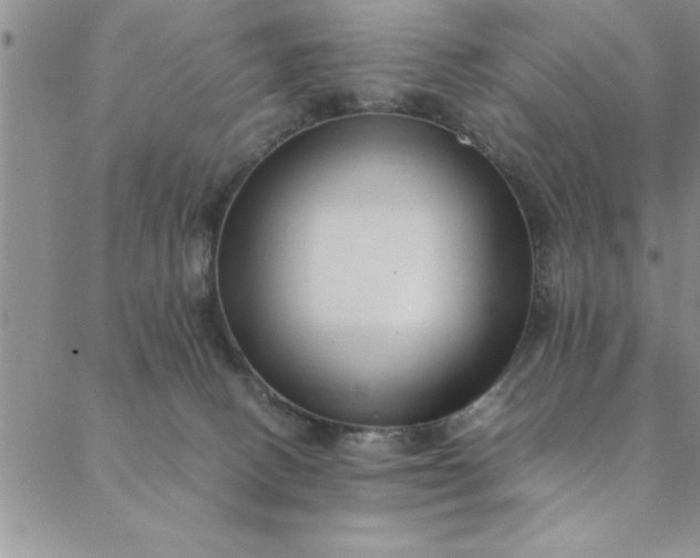 X0000088660082200706081713