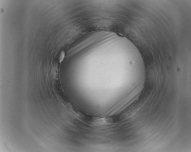 X0000088660083200706081713