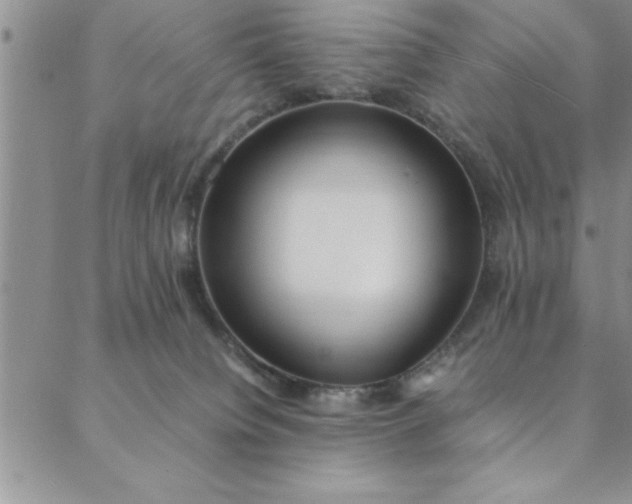 X0000088660084200706081713