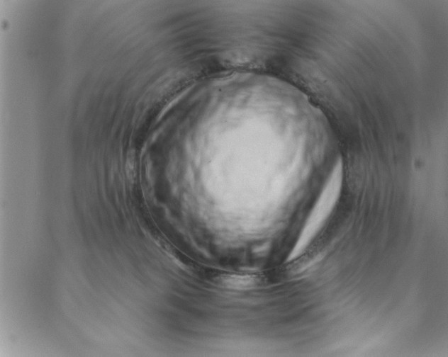 X0000088660085200706081713