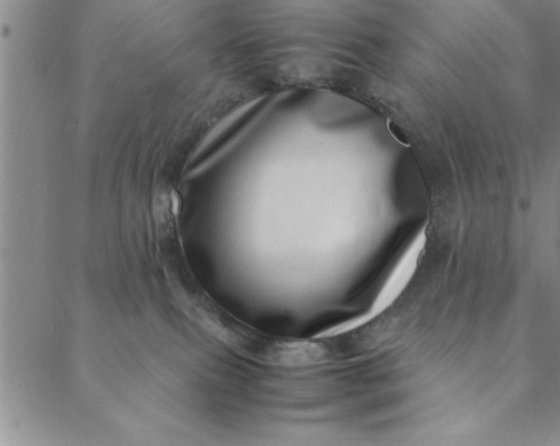 X0000088660087200706081713