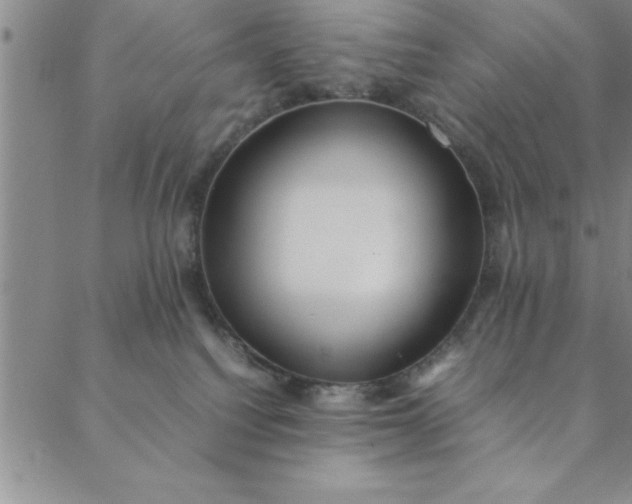 X0000088660088200706081713