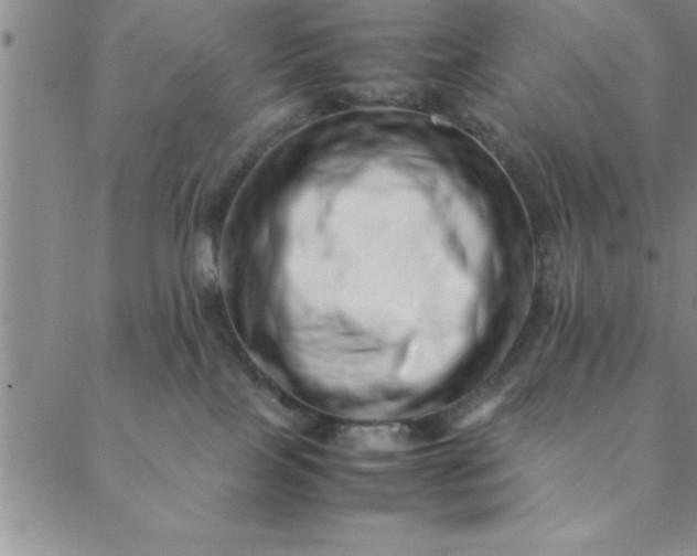 X0000088660089200706081713