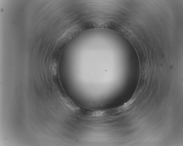 X0000088660090200706081713