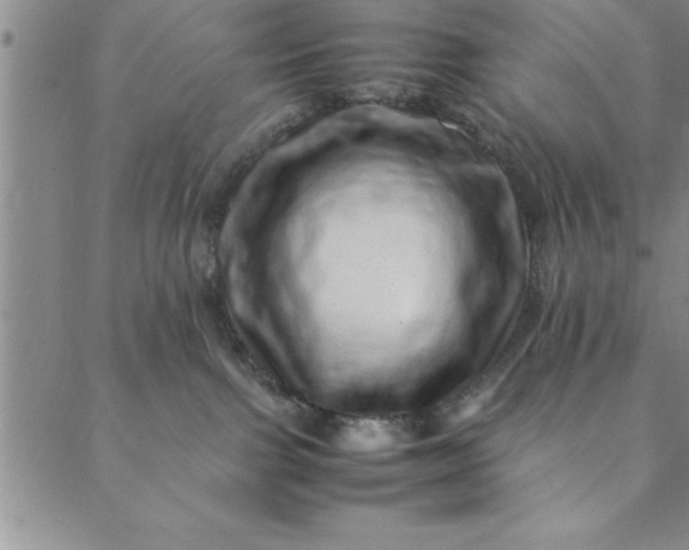 X0000088660091200706081713