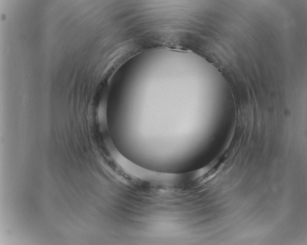 X0000088660092200706081713