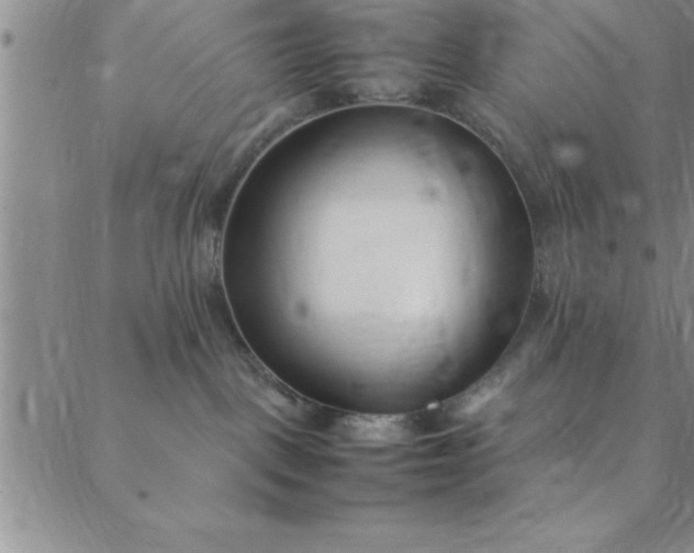 X0000088660093200706081713