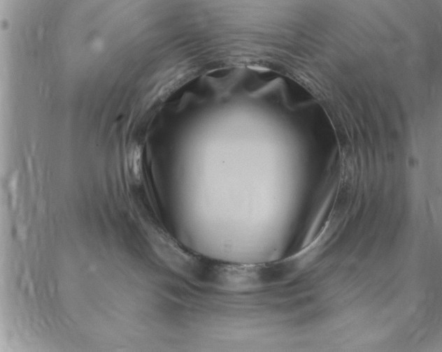 X0000088660094200706081713