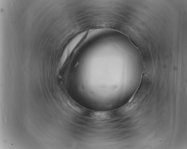 X0000088660095200706081713