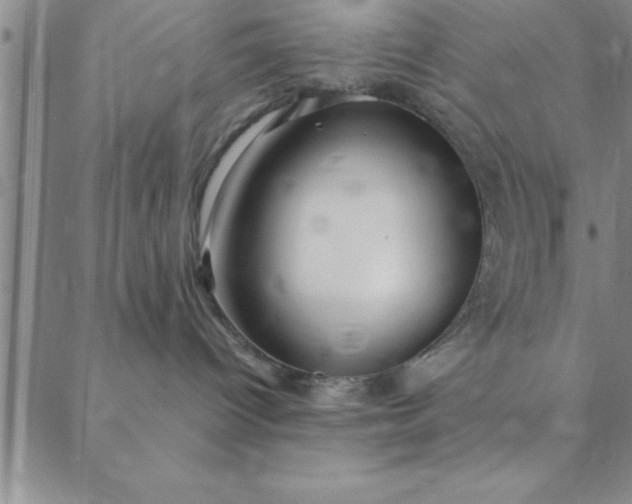 X0000088660096200706081713