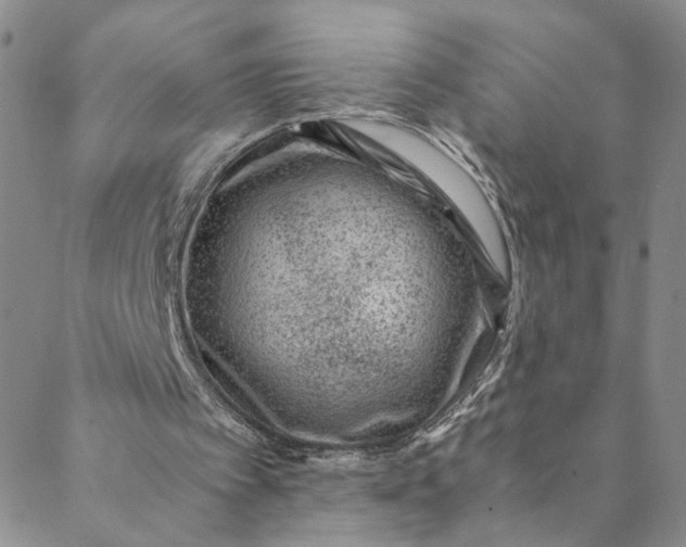 X0000088660097200706081713