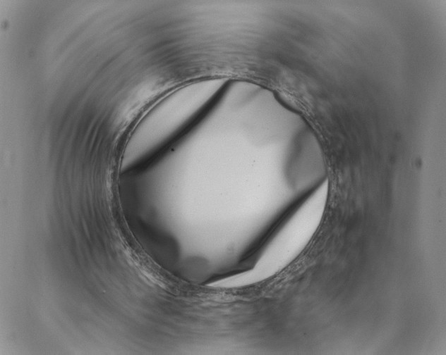 X0000088660098200706081713