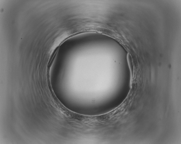 X0000088660099200706081713