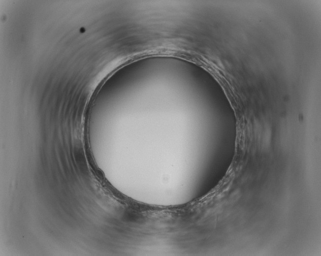 X0000088660100200706081713