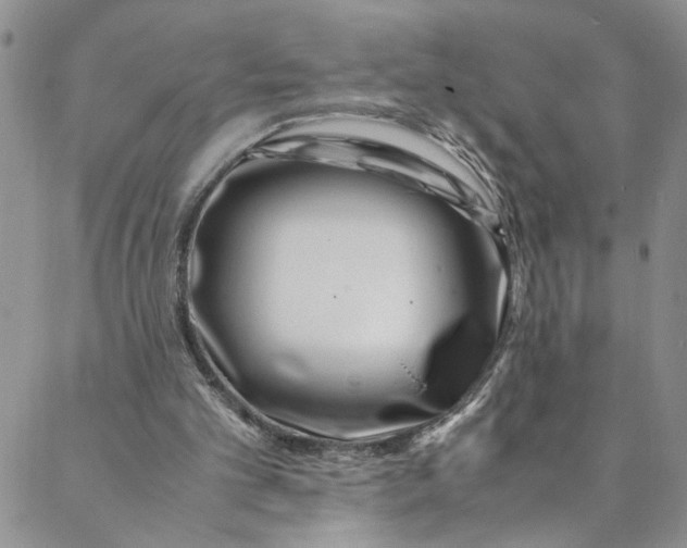 X0000088660101200706081713