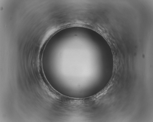 X0000088660102200706081713