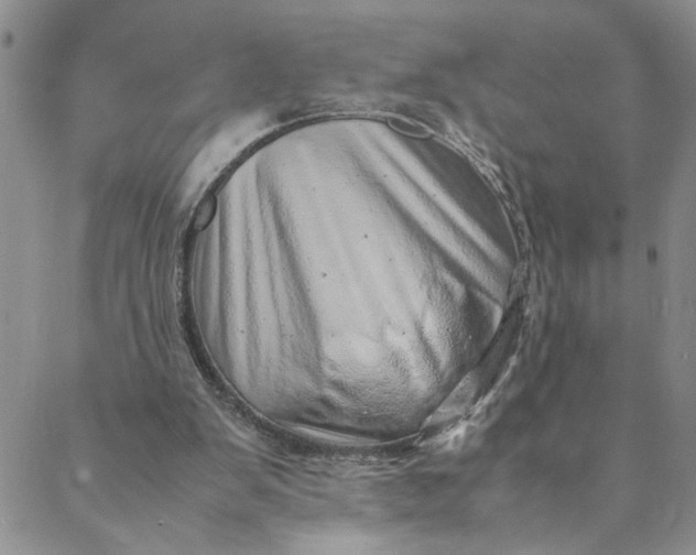 X0000088660103200706081713