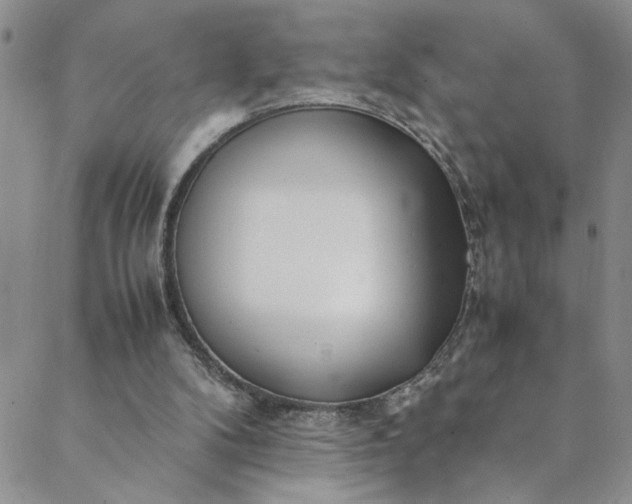 X0000088660104200706081712