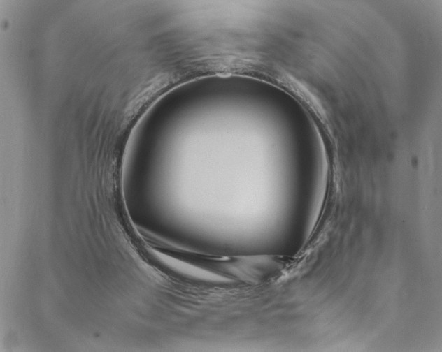 X0000088660105200706081712