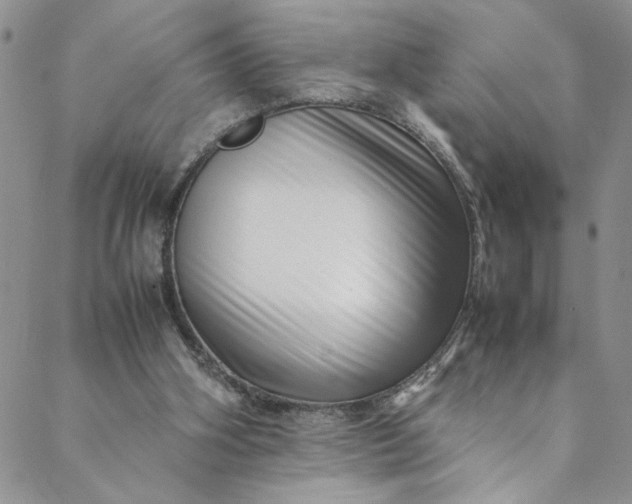 X0000088660106200706081712