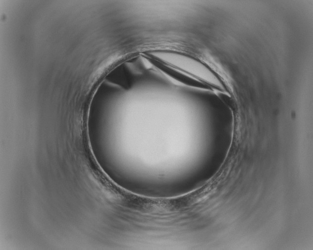 X0000088660107200706081712