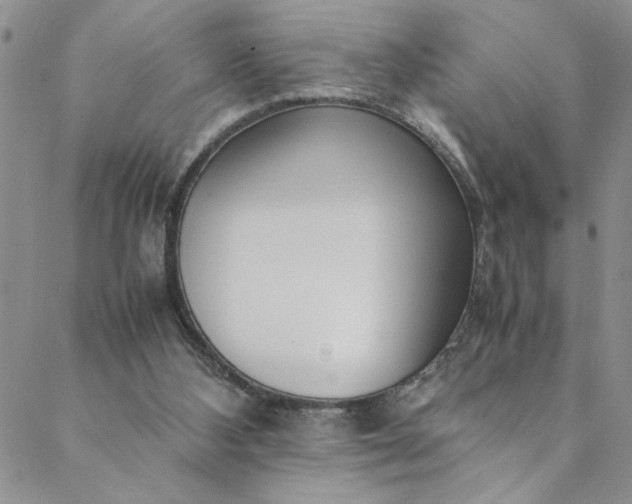 X0000088660108200706081712