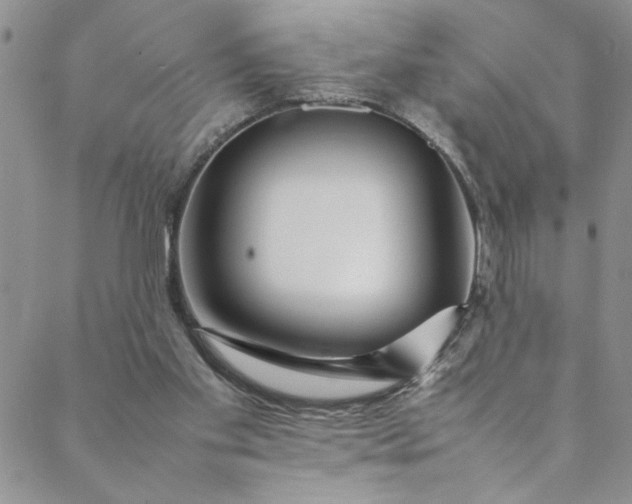 X0000088660109200706081712