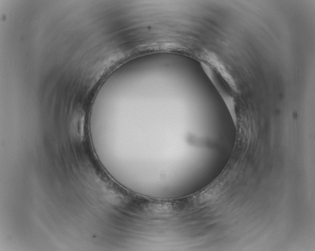 X0000088660110200706081712