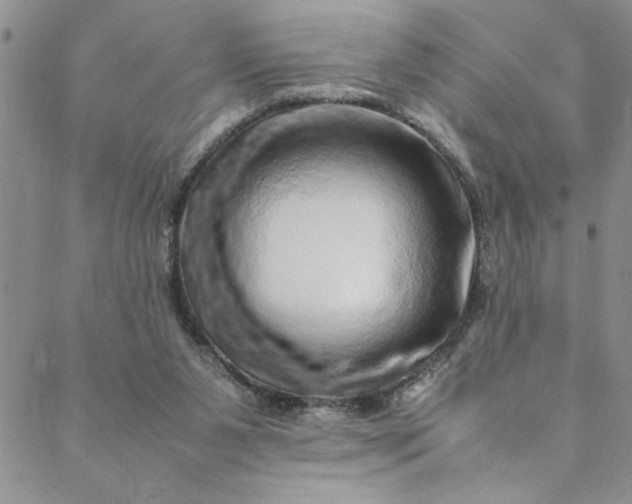 X0000088660111200706081712