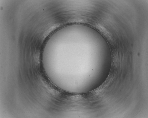 X0000088660112200706081712