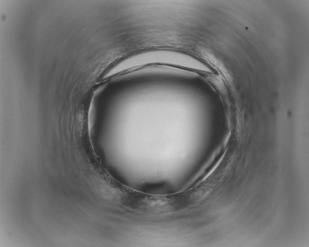 X0000088660113200706081712