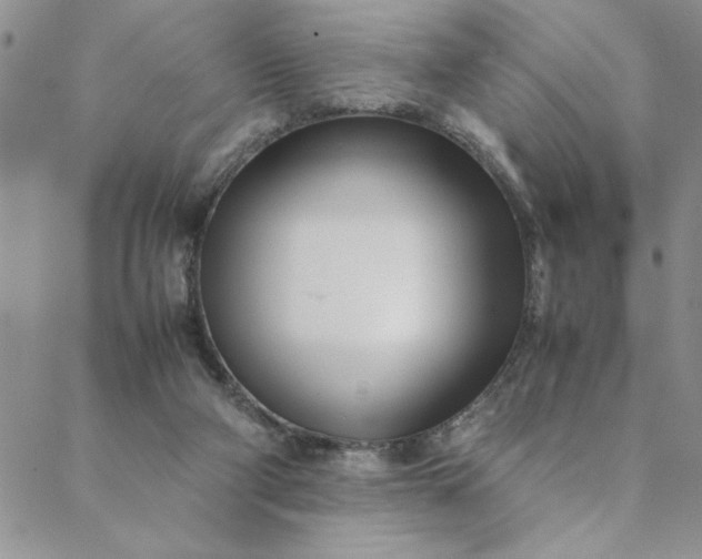 X0000088660114200706081712