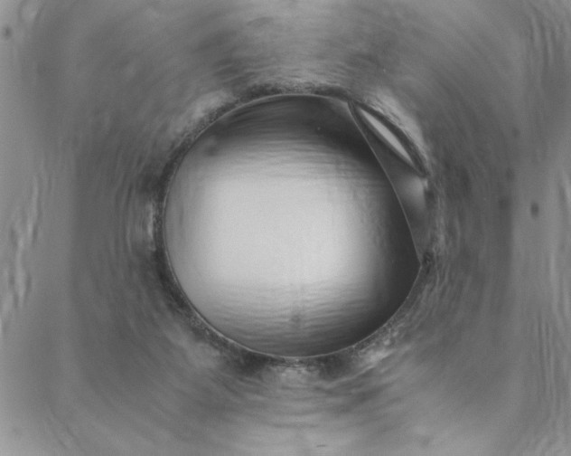 X0000088660115200706081712