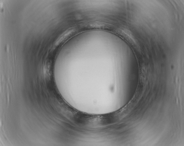 X0000088660116200706081712