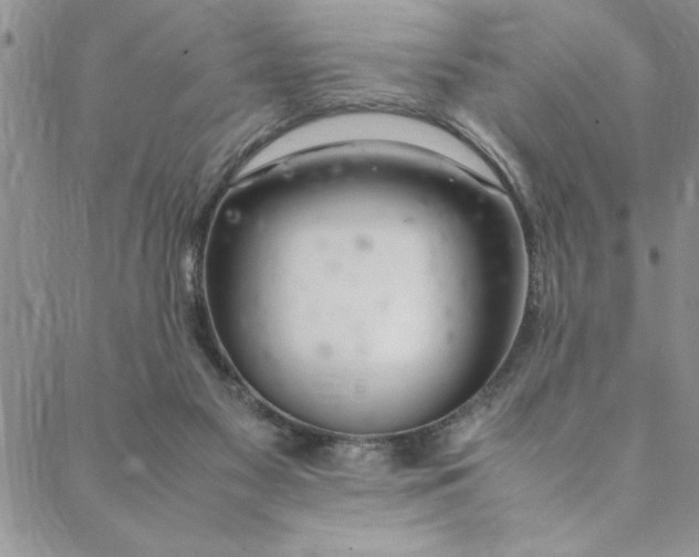 X0000088660117200706081712