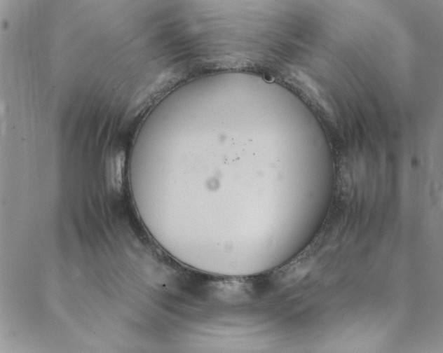 X0000088660118200706081712