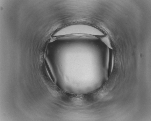 X0000088660119200706081712