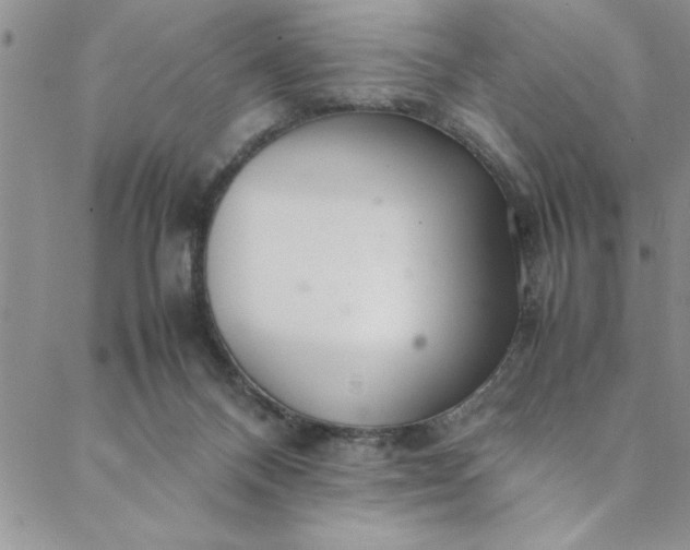 X0000088660120200706081712