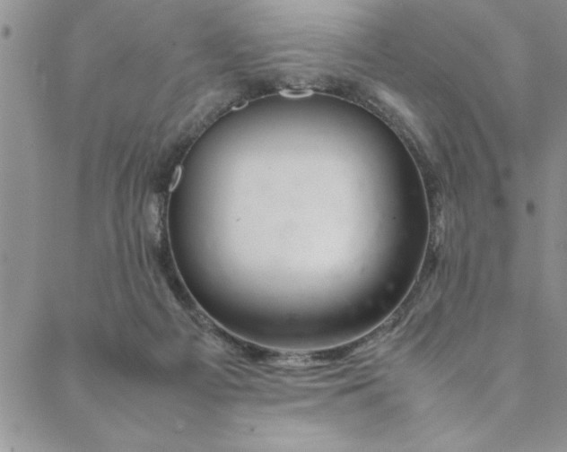 X0000088660121200706081712