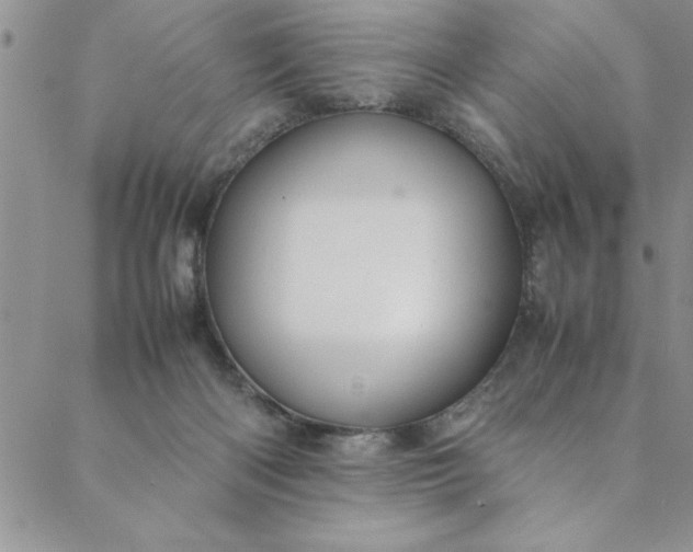 X0000088660122200706081712