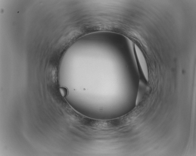 X0000088660123200706081712