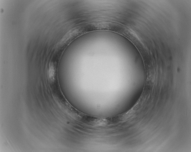 X0000088660124200706081712