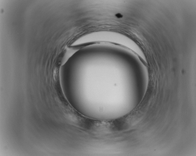 X0000088660125200706081712